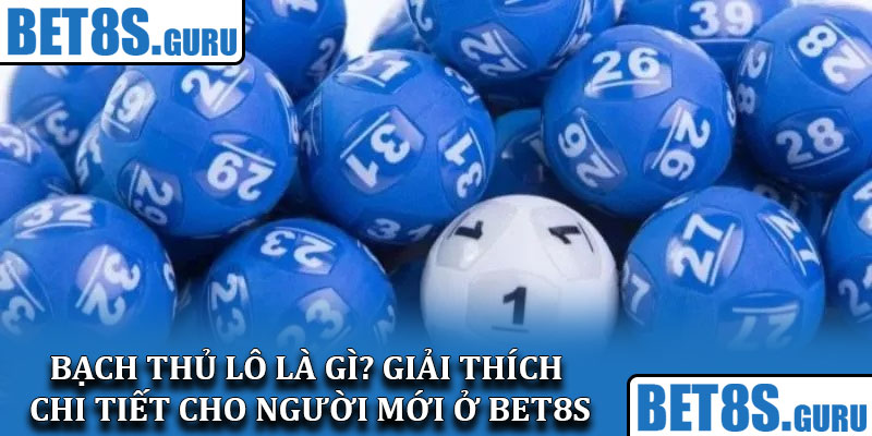 Bạch thủ lô là gì? Giải thích chi tiết cho người mới ở Bet8s