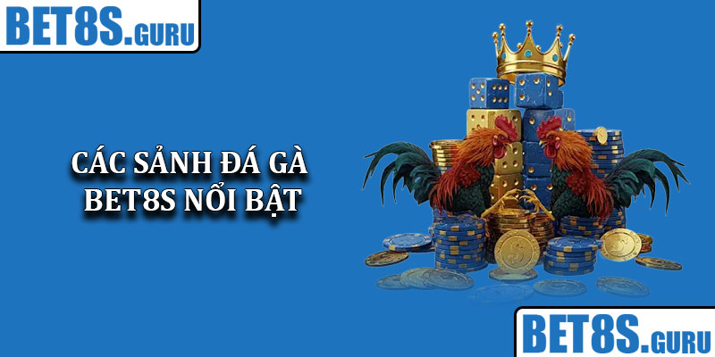 Các sảnh đá gà Bet8s nổi bật