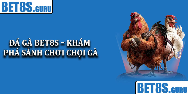 Đá Gà Bet8s – Khám phá sảnh chơi chọi gà sắc nét hiện nay