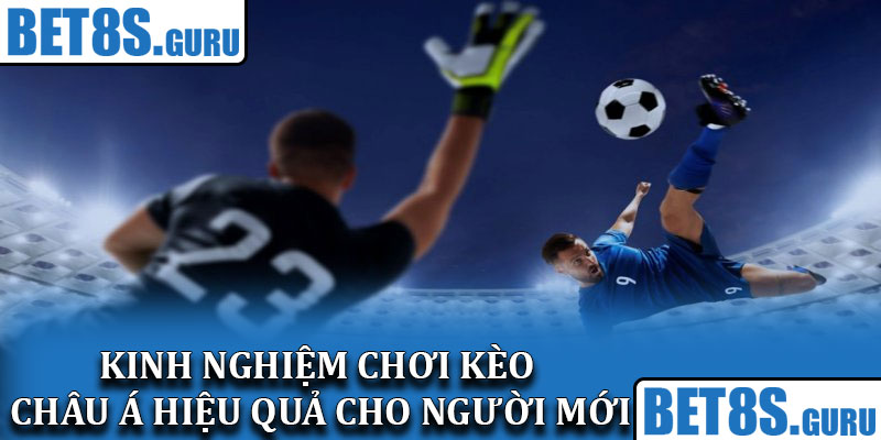 Kinh nghiệm chơi kèo châu Á hiệu quả cho người mới